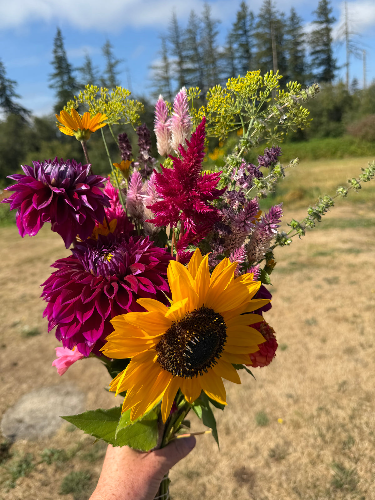 Fresh Flower Bouquets