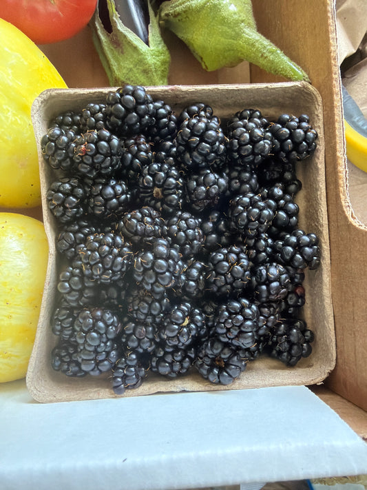 Blackberries