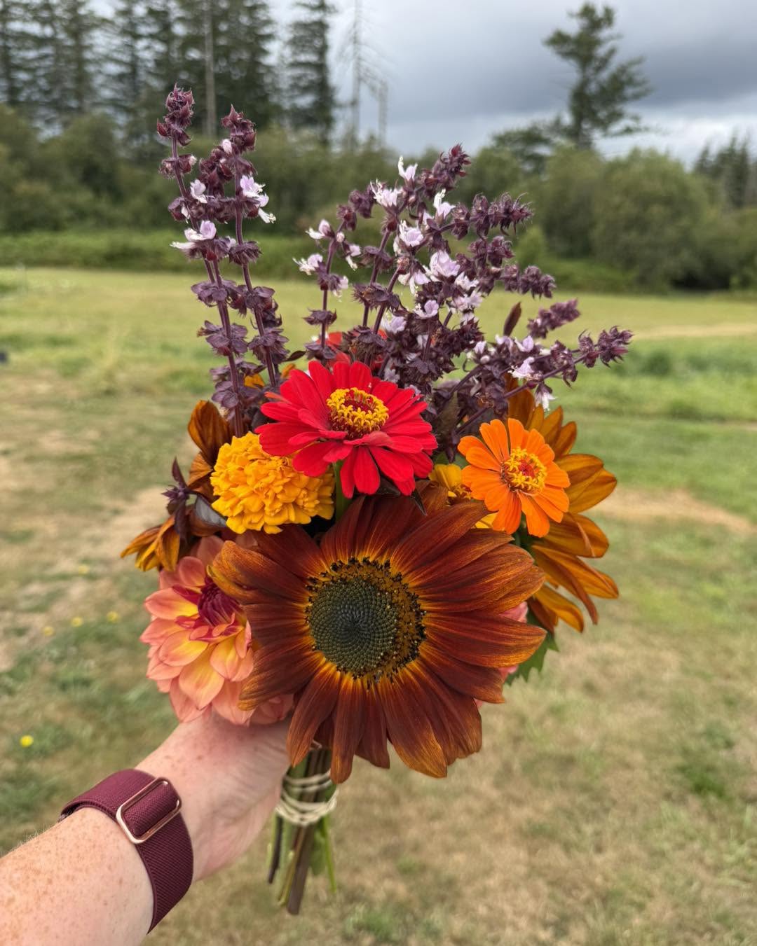 Fresh Flower Bouquets