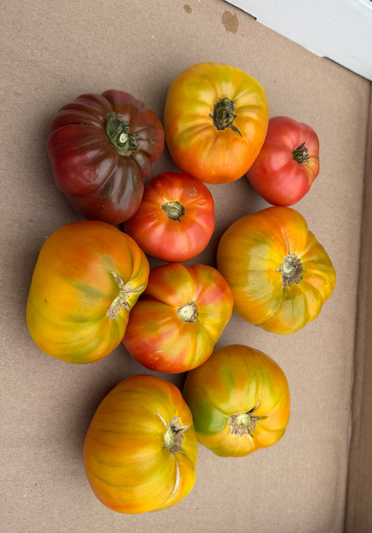 Heirloom Tomatoes